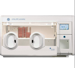 M35可控氫微好氧工作站